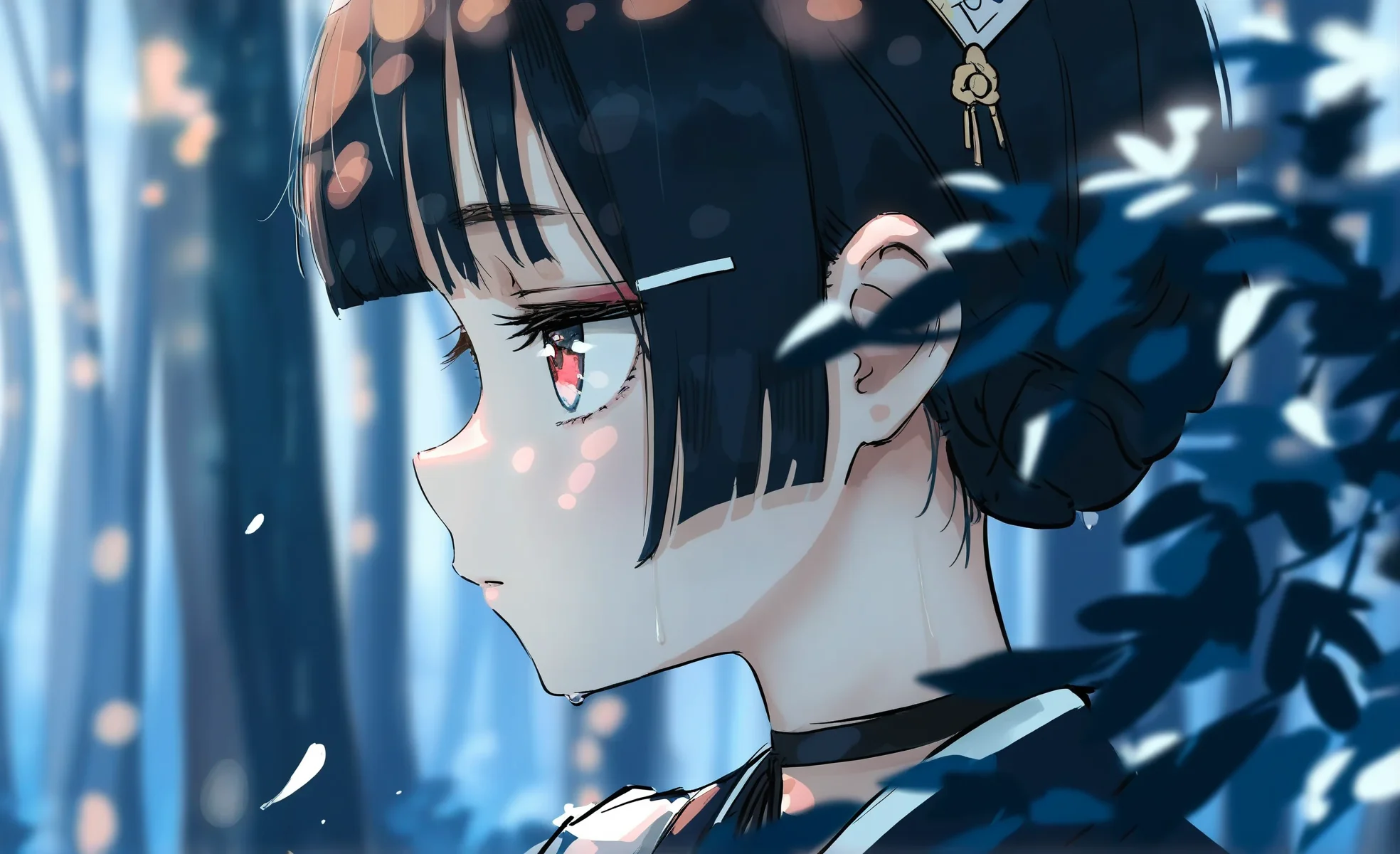 /images